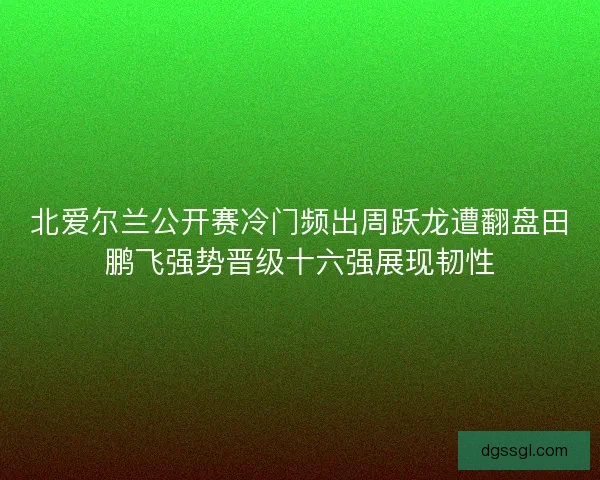 北爱尔兰公开赛冷门频出周跃龙遭翻盘田鹏飞强势晋级十六强展现韧性